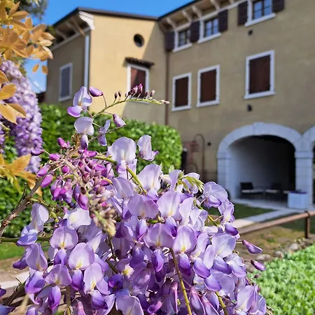 Corte Violeti La Resela Apartament